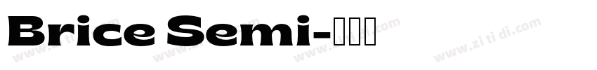Brice Semi字体转换